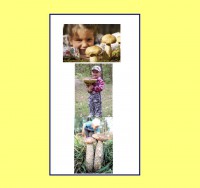 /album/fotogalerie-co-o-houbach-vim/deti-a-houby-jpg/